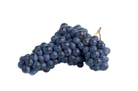 Organic Concord Grapes - BIN