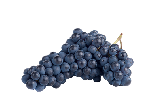 Organic Concord Grapes - BIN
