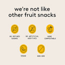 Passionista Organic Natural Fruit Snacks (5-pack)-10