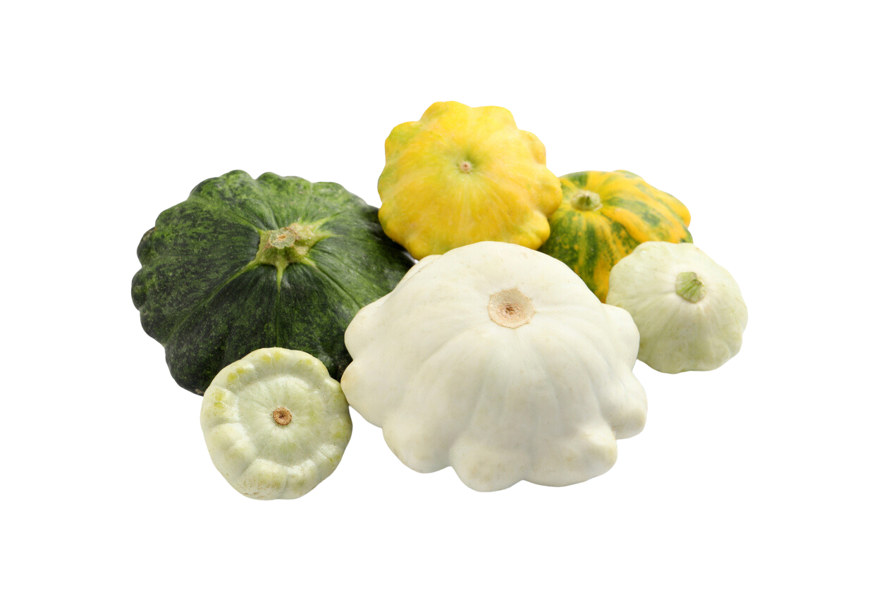 Organic Summer Squashes - PINT