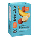 Bananarama Organic Natural Fruit Snacks (5-pack)-2