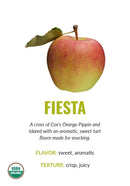Fiesta variety card