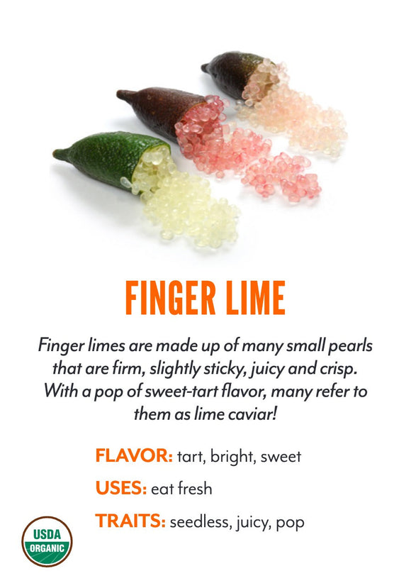 Finger Lime variety card