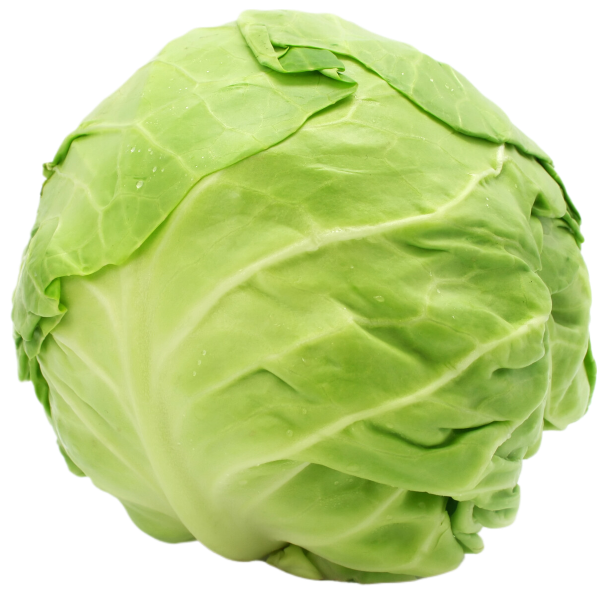 Organic Green Cabbage -  EACH