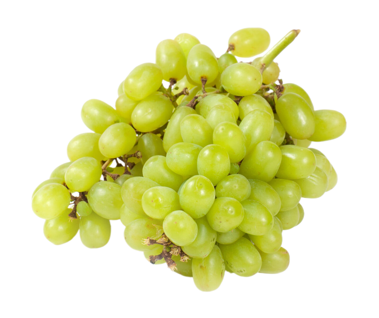 Organic Green Seedless Grapes - 1 LB