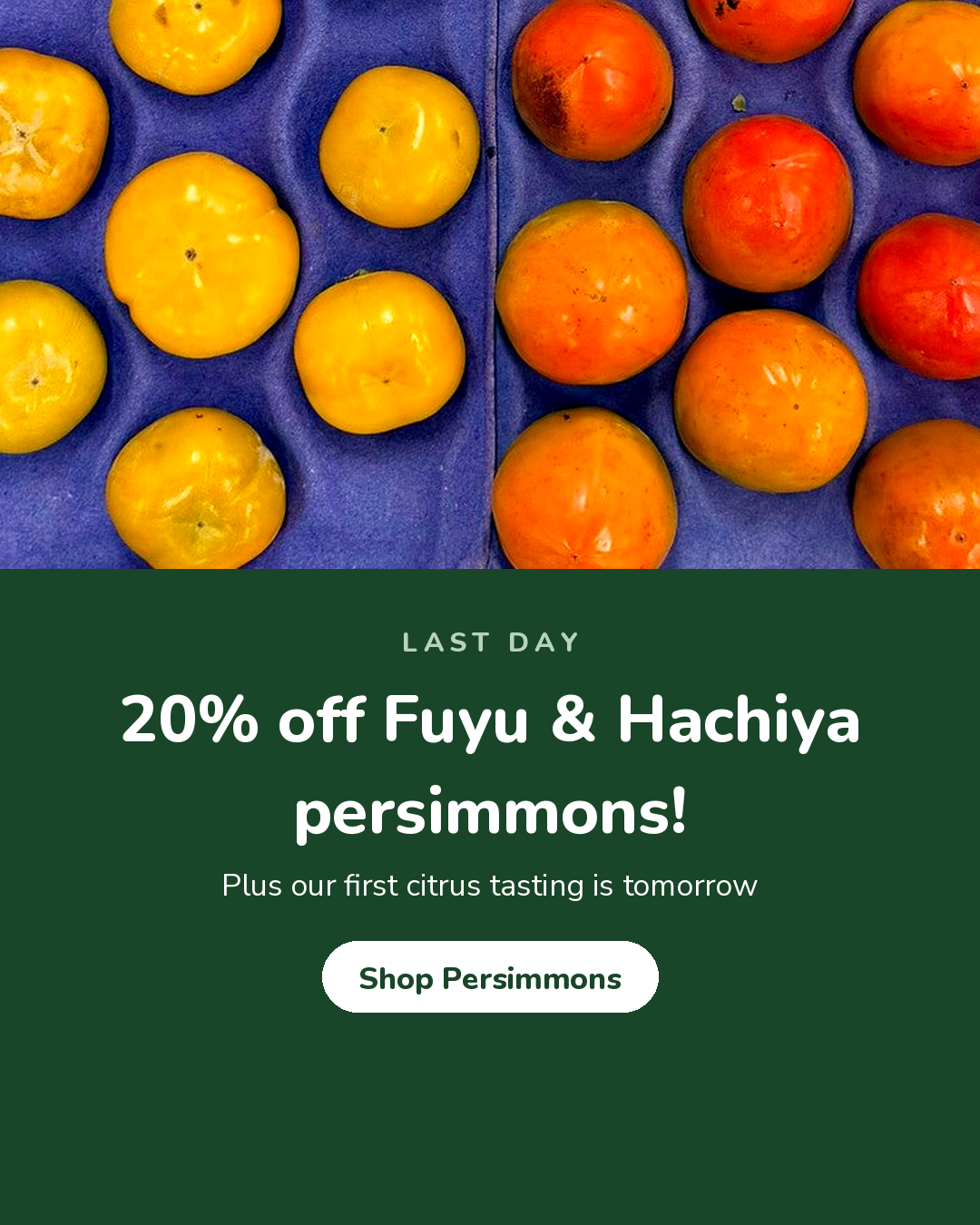 Last day, 20% off Fuyu and Hachiya persimmons