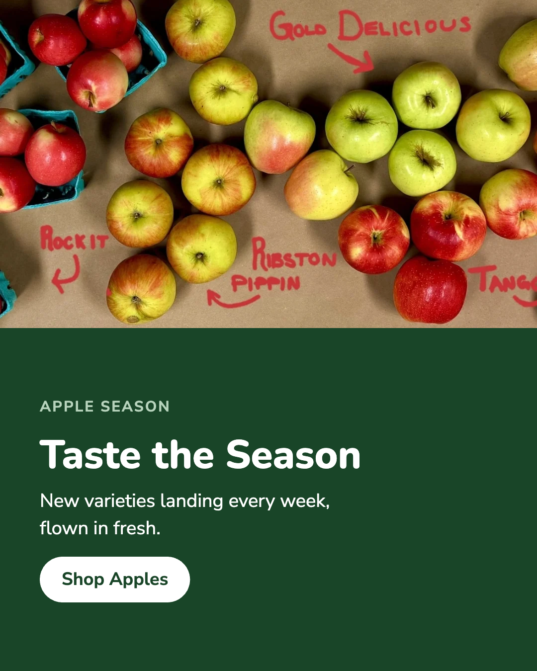 Apple season at Juneau Natural