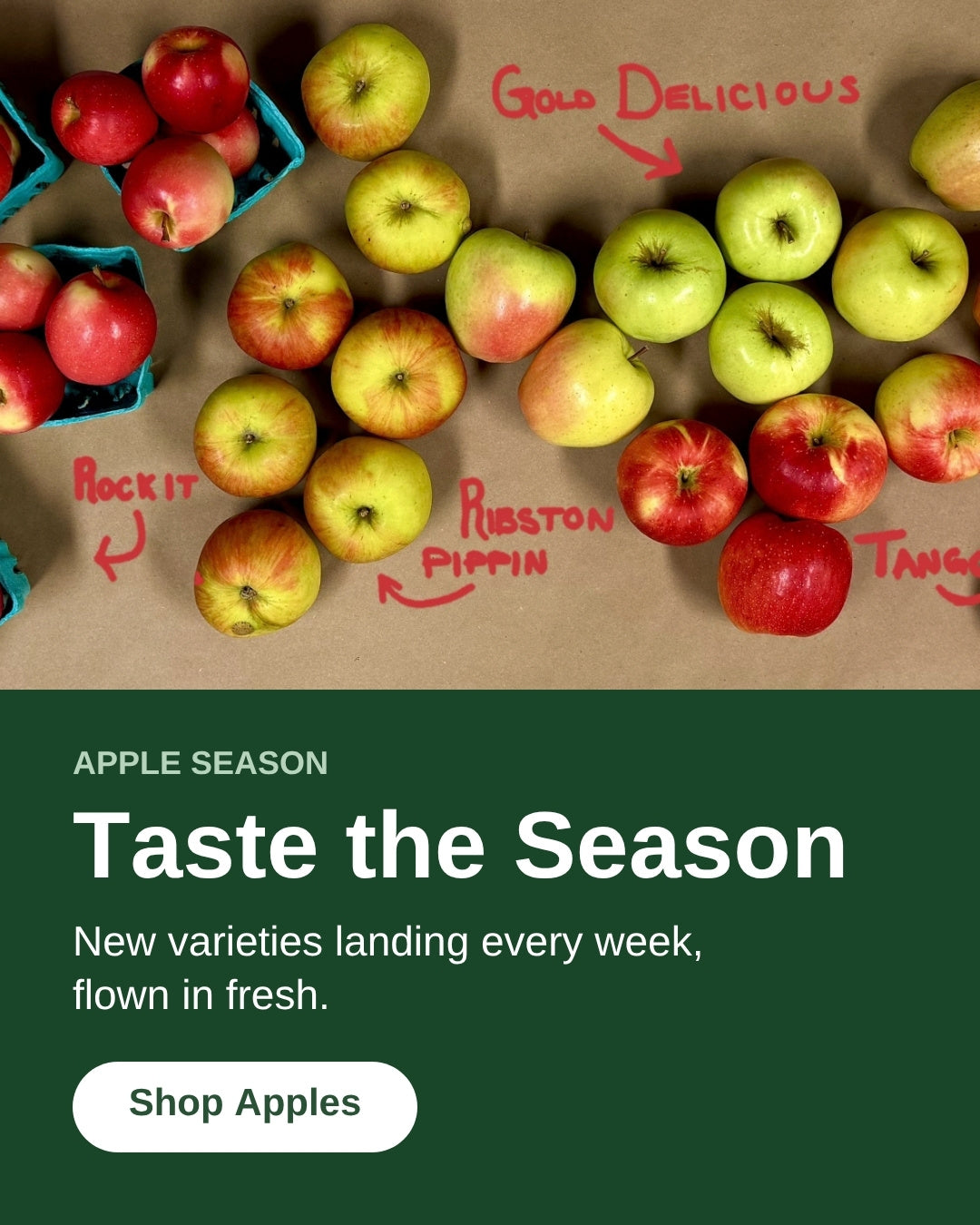 Taste the Season: four apple varieties on brown paper, Rockit, Ribston Pippin, Gold Delicious and SweeTango