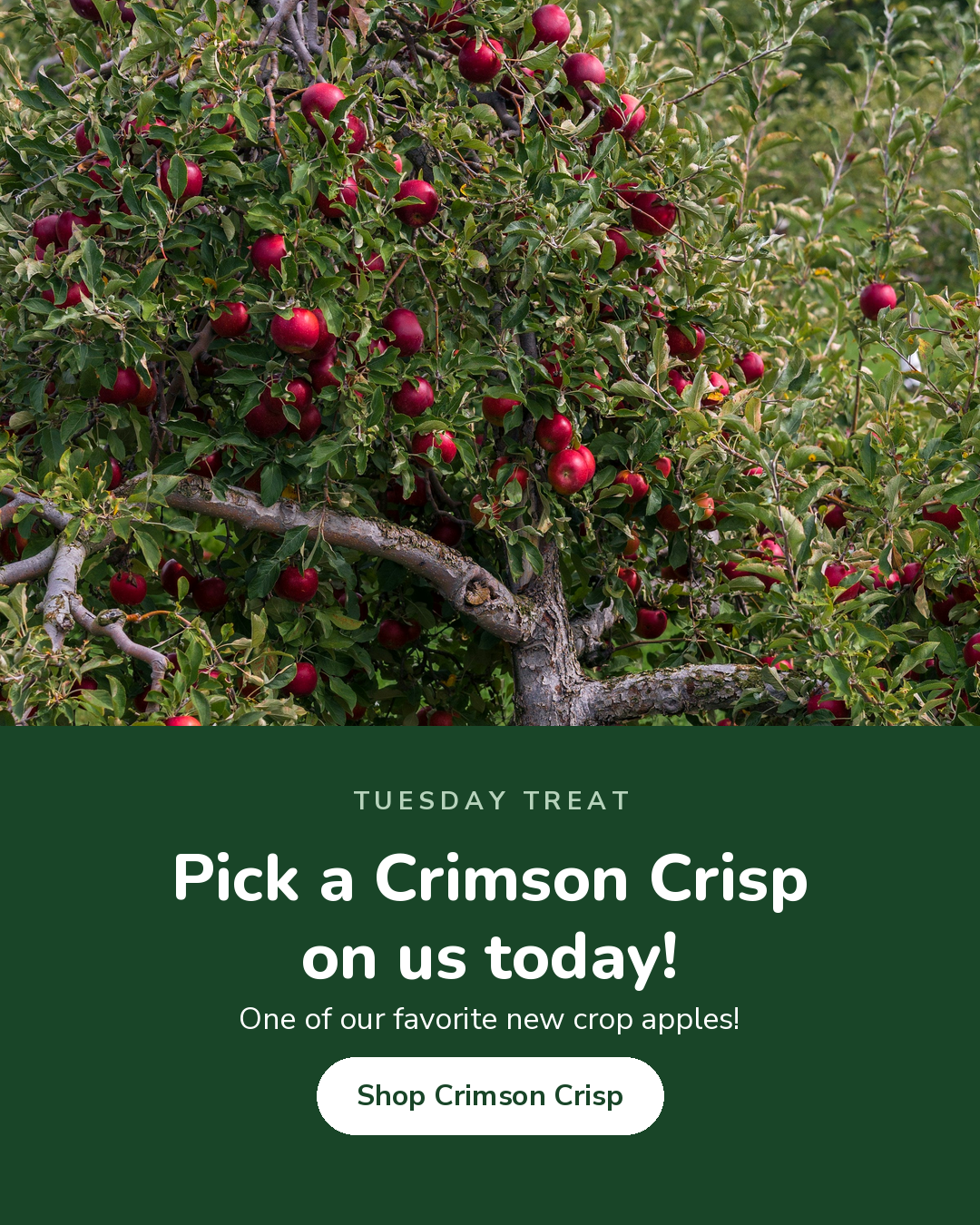 Pick a Crimson Crisp on us today