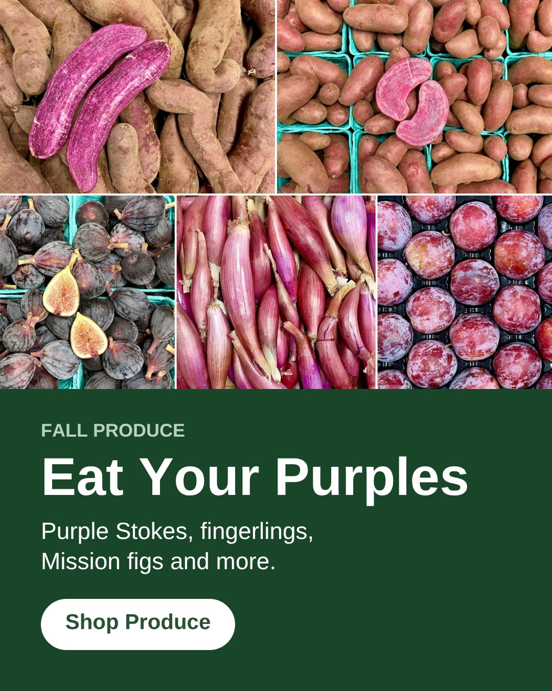 Eat Your Purples: Purple Stokes sweet potatoes, Amarosa fingerlings, Mission figs, Torpedo onions and pluots