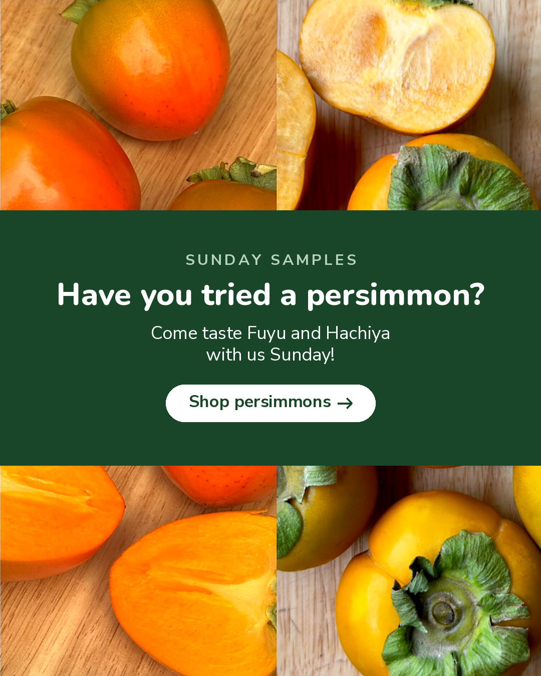 Have you tried a persimmon? Come taste Fuyu and Hachiya with us Sunday!
