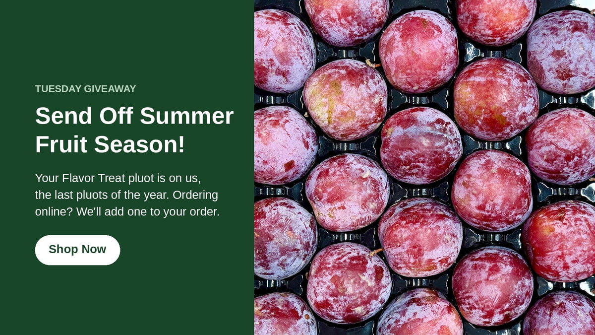 Hero pluot giveaway desktop 2026 09 1