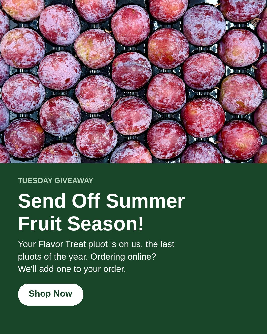 Hero pluot giveaway mobile 2026 09 1