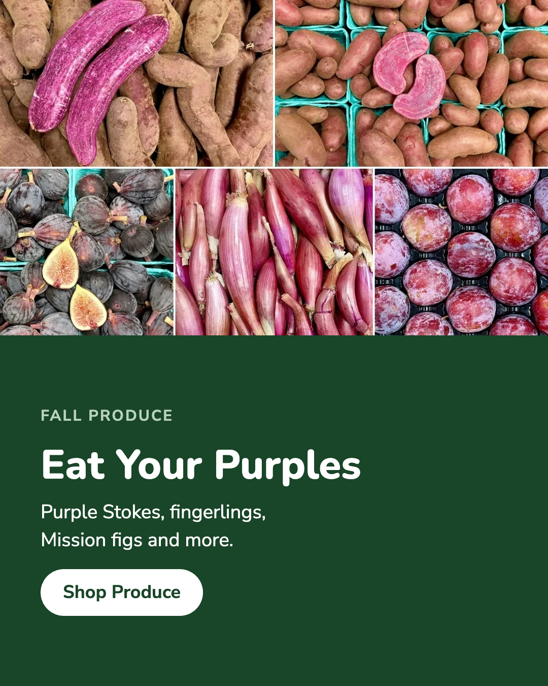 Eat your purples: fall produce at Juneau Natural
