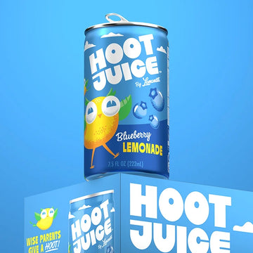 Hoot Blueberry Lemonade Juice - 7.5 FO