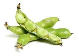 Organic Fava Beans - PER LB