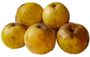 Organic Gold Delicious Apple - EACH-1