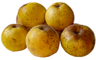 Organic Gold Delicious Apple - EACH