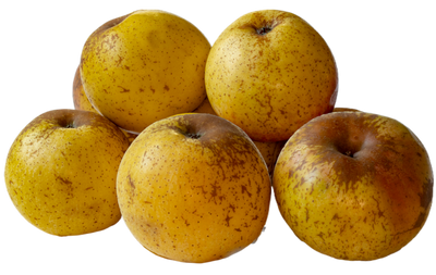 Organic Gold Delicious Apple - EACH