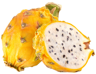 Organic Yellow Pitaya Dragon Fruit - EACH