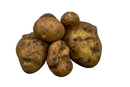 Organic Heritage German Butterball Potatoes - PER LB-2