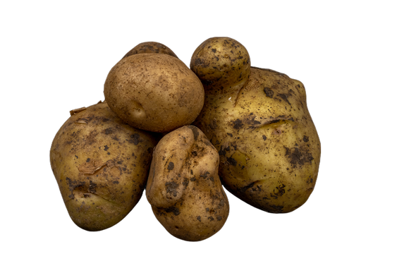 Organic Heritage German Butterball Potatoes - PER LB