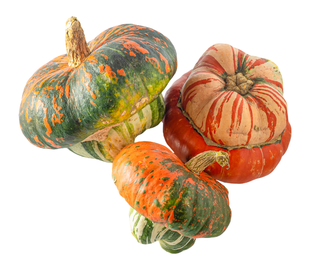 Organic Turban Squash - PER LB