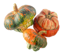 Organic Turban Squash - PER LB-2