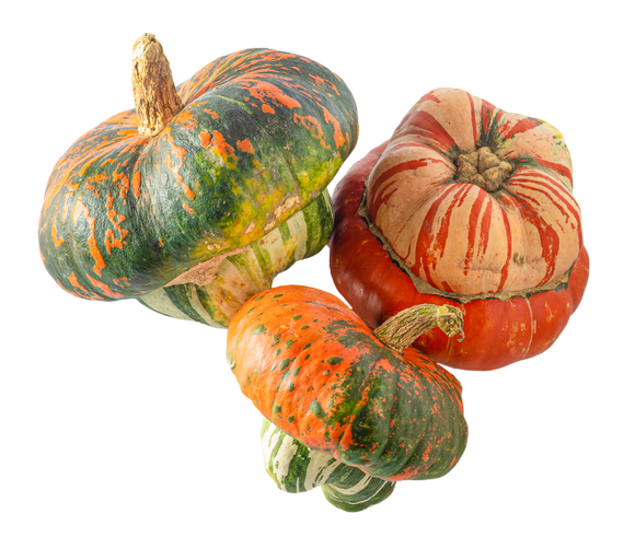 Organic Turban Squash - PER LB