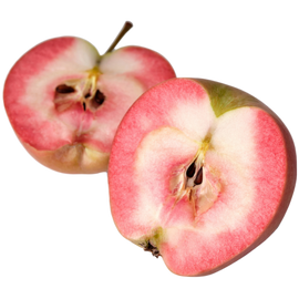 Organic Mountain Rose Apple - EACH