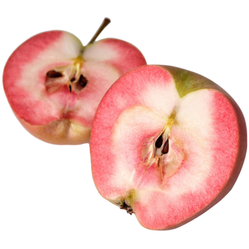 Lucy Glo apple