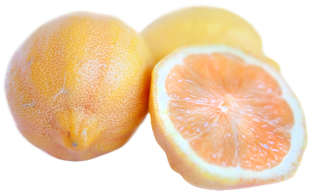 Organic Variegated Pink Lemons - EACH