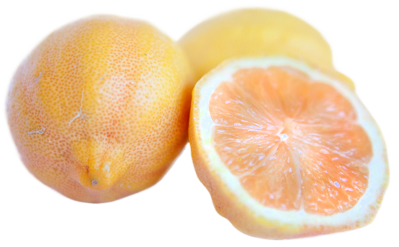 Organic Variegated Pink Lemons - EACH