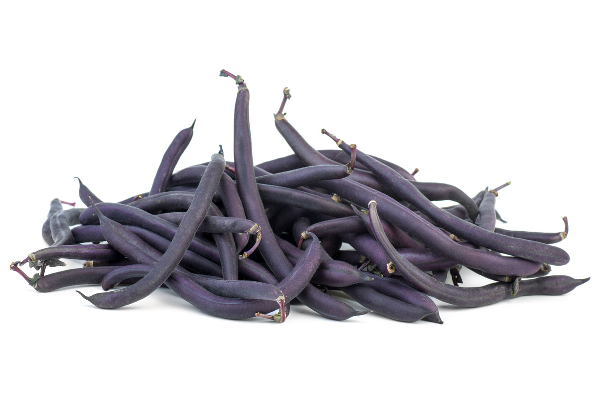 Organic Purple Beans - PINT
