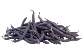 Organic Purple Beans - PINT