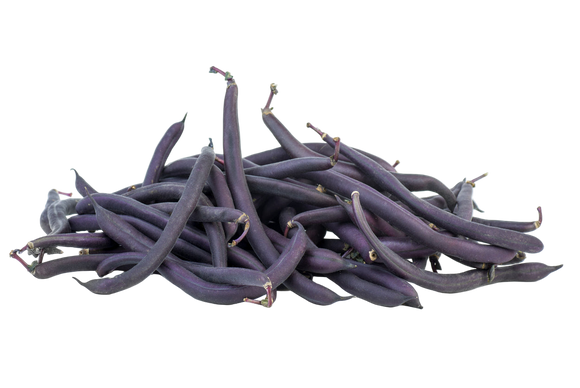 Organic Purple Beans - PINT