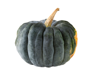 Organic Black Futsu Squash - PER LB