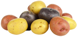 Organic Fingerling Potato Medley - 1.5 LB BAG