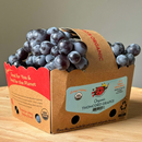 Organic Thomcord Grapes -  1.5 LB TOTE-1