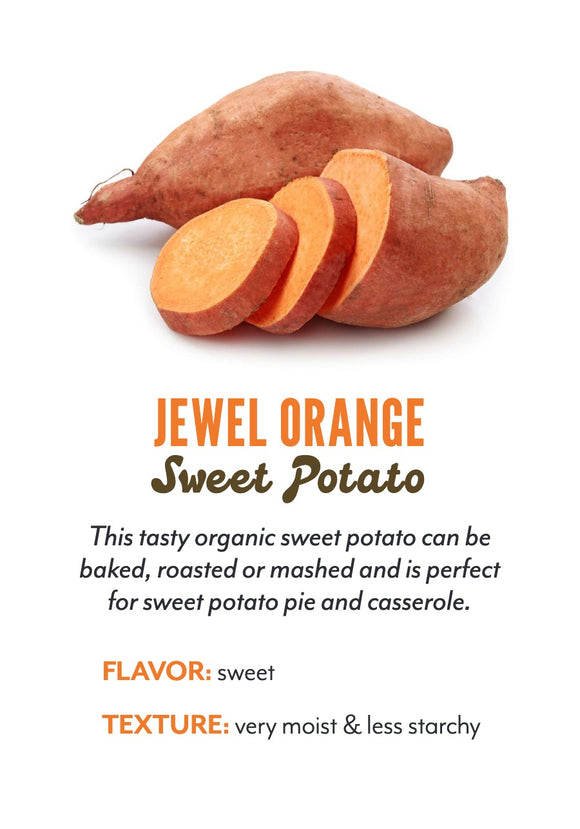 Jewel Orange Sweet Potato variety card
