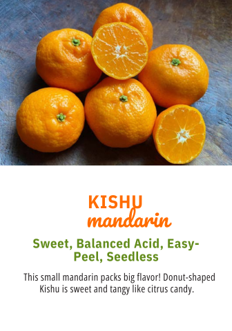 Organic Kishu Mandarins - PER LB