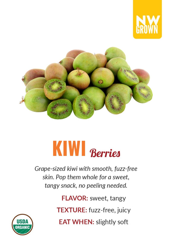 Kiwi Berry variety card