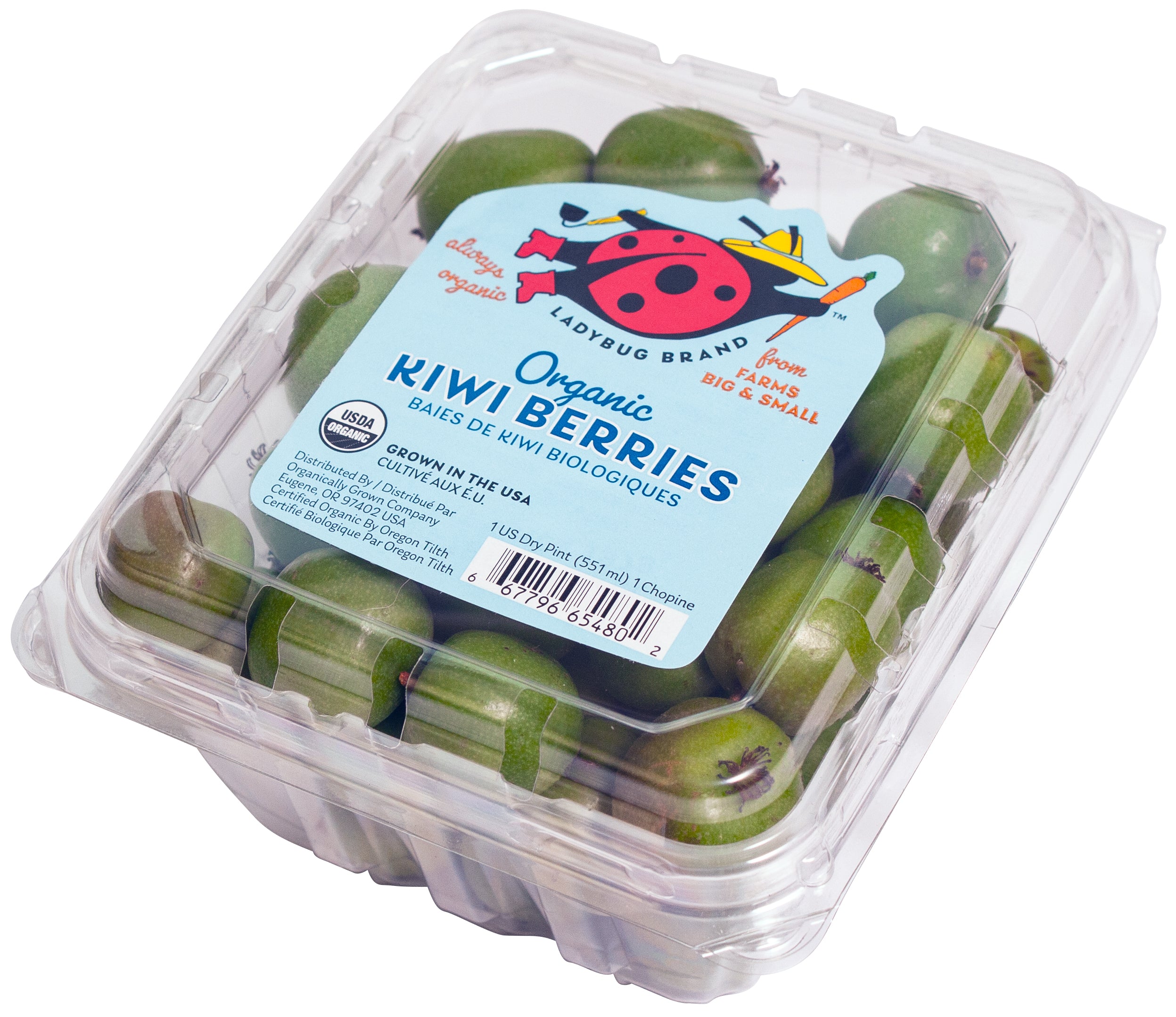 Organic Kiwi Berries - BIN