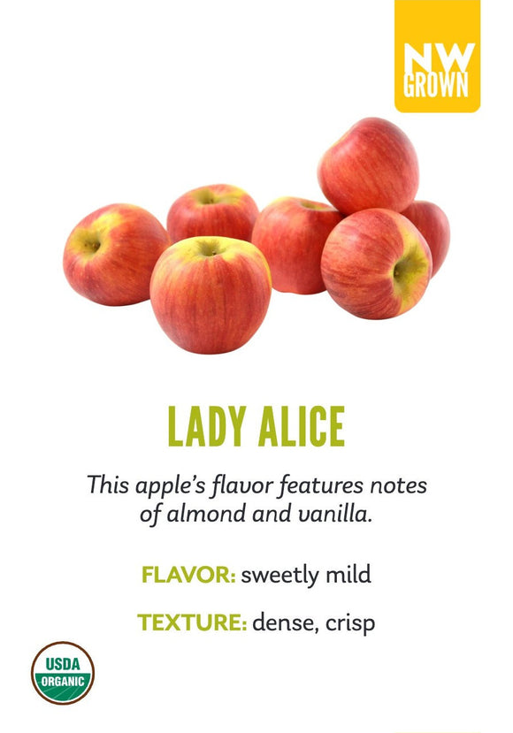 Lady Alice variety card
