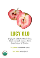 Lucy Glo variety card