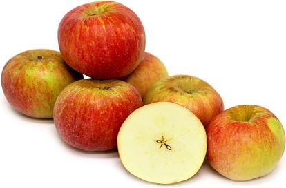 Organic Ribston Pippin Apples - EACH