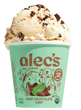 Organic Mint Chocolate Chip Ice Cream - 14 FO