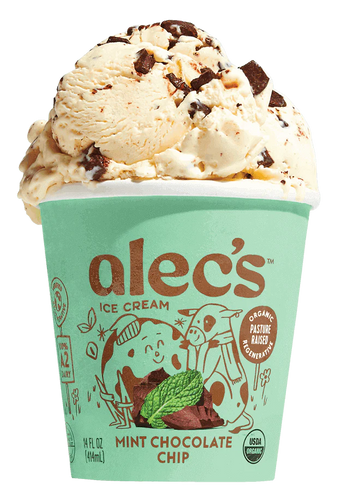 Organic Mint Chocolate Chip Ice Cream - 14 FO