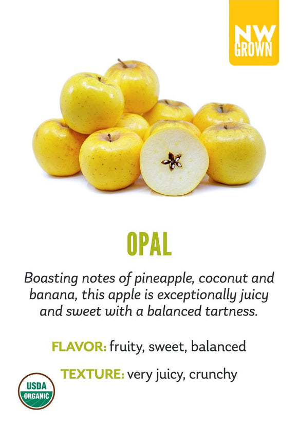 Opal variety card