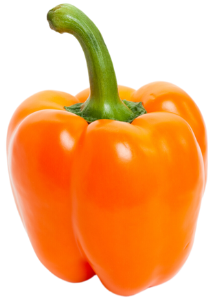 Organic Orange Bell Pepper - EACH